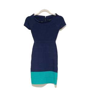 BCBGMaxAzria  Bandage Colorblock dress